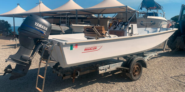 Boston Whaler 17  Motorizzazione 40 Mercury Pro